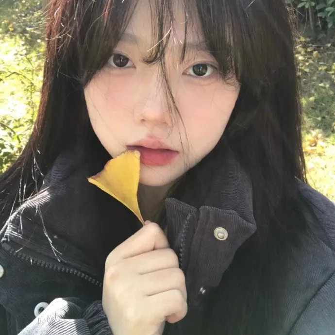 爱我请留言粤语