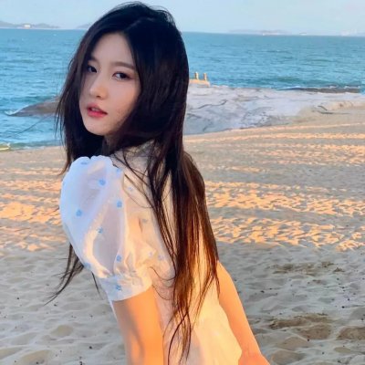 妙探双龙