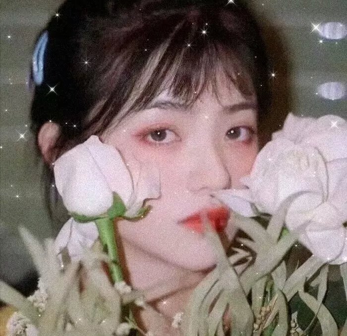 巴哈